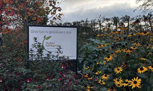 WhatsApp Image 2025-11-11 at 09.55.10